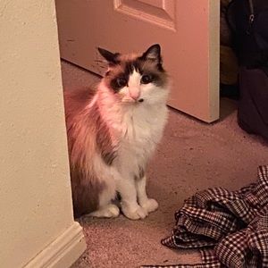 Meet your Posher, Jill